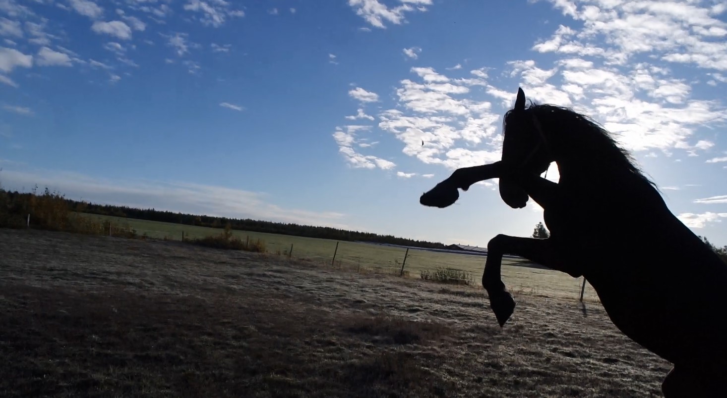 ei voimalla vaan taidolla